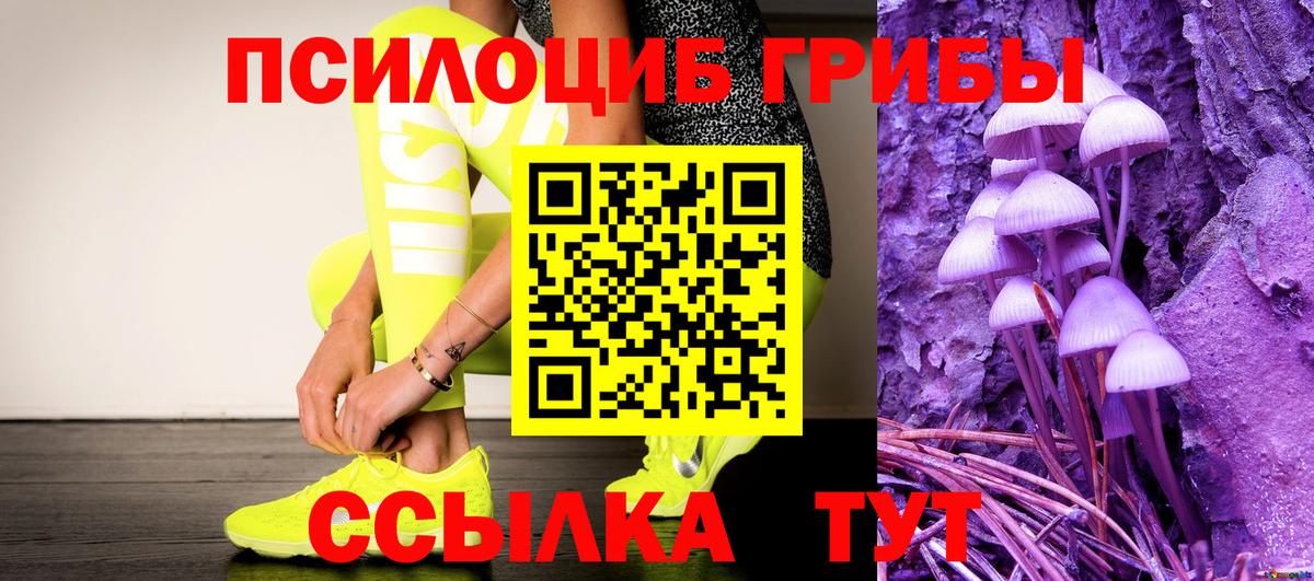 Можга  Псилоцибиновые грибы Cubensis  Вход с VPN 